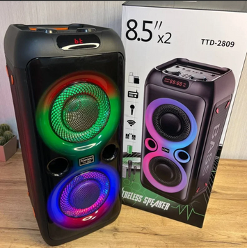 Колонка Bluetooth Wireless Speaker TTD-2809 1243 фото